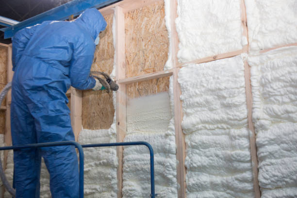 Types of Insulation We Offer in Morris, AL